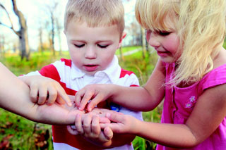 learning in nature